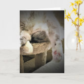 低速日、カード カード (黄色い花)