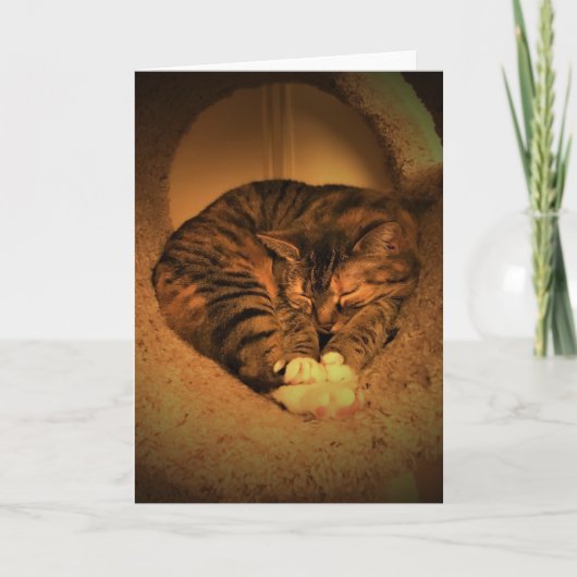 低速日、カード カード (正面)