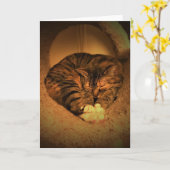 低速日、カード カード (黄色い花)