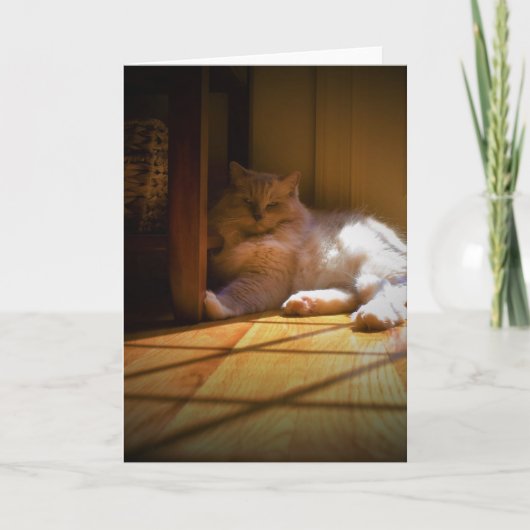 低速日、カード カード (正面)