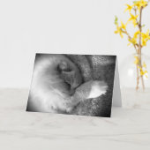 低速日、カード カード (黄色い花)