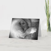 低速日、カード カード (正面)