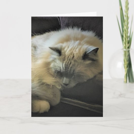 低速日、カード カード (正面)