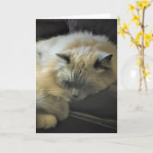 低速日、カード カード (黄色い花)