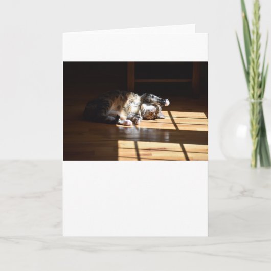 低速日、カード カード (正面)