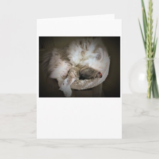 低速日、カード カード (正面)