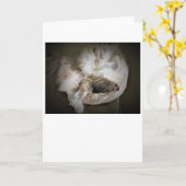 低速日、カード カード (黄色い花)