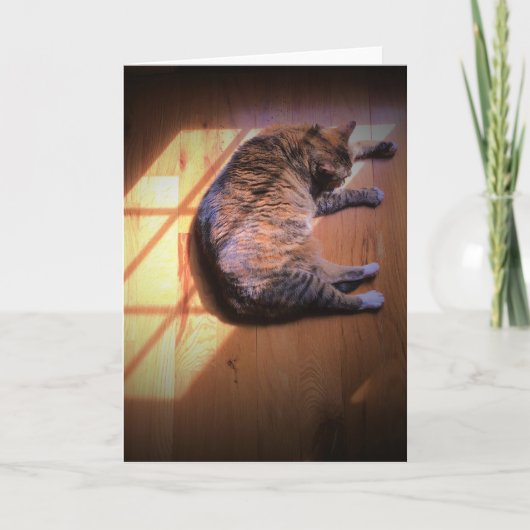 低速日、カード カード (正面)