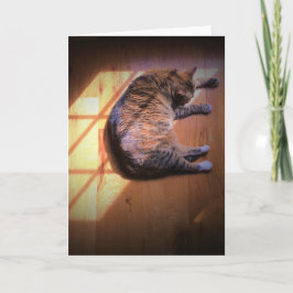 低速日、カード カード