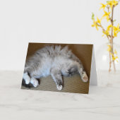 低速日、カード カード (黄色い花)