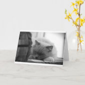 低速日、カード カード (黄色い花)