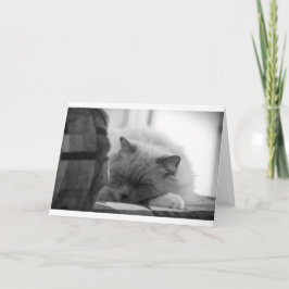 低速日、カード カード