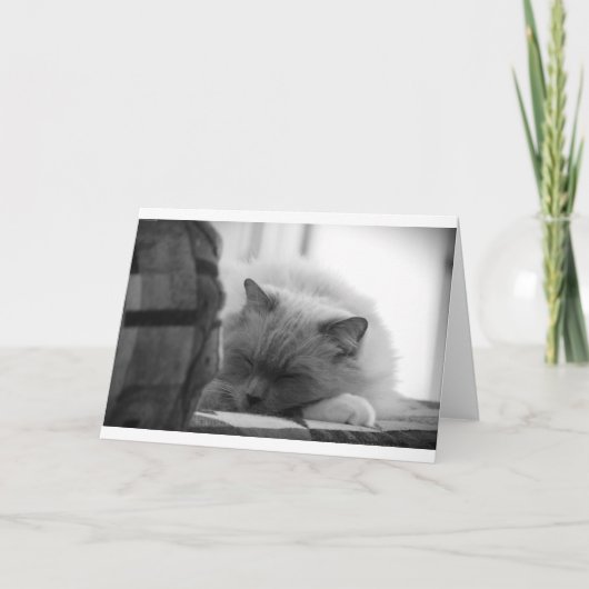 低速日、カード カード (正面)