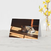 低速日、カード カード (黄色い花)