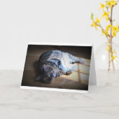 低速日、カード カード (黄色い花)