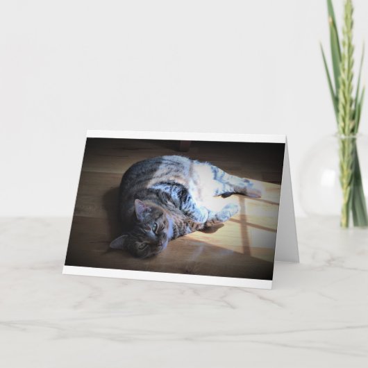 低速日、カード カード (正面)