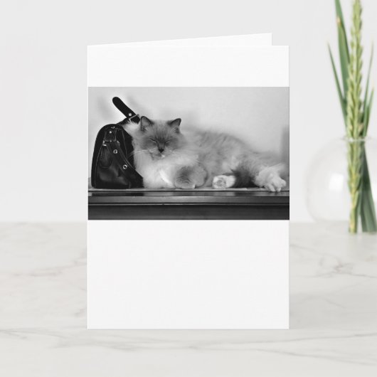 低速日、カード カード (正面)