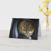 低速日、カード カード (黄色い花)