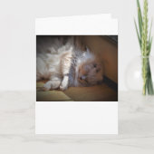 低速日、カード カード (正面)