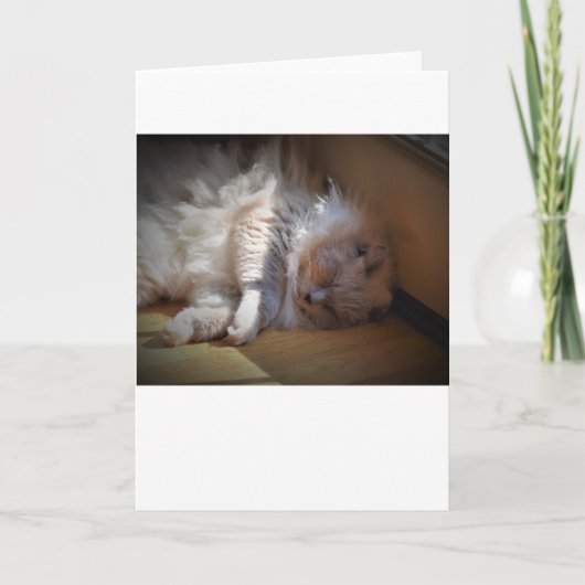 低速日、カード カード (正面)