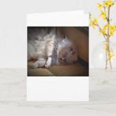 低速日、カード カード (黄色い花)