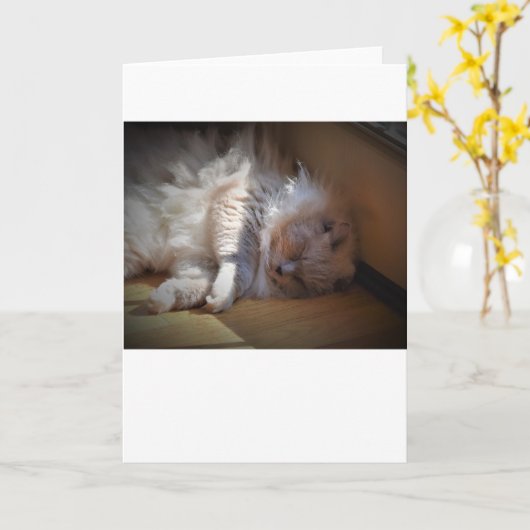 低速日、カード カード (黄色い花)