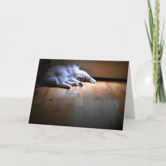 低速日、カード カード (正面)