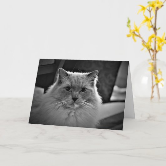 低速日、カード カード (黄色い花)