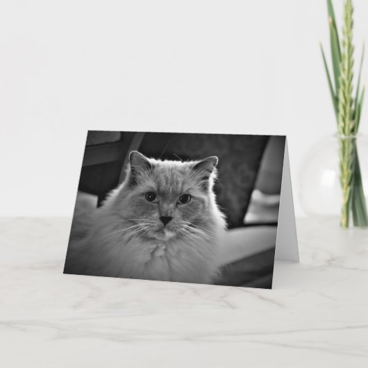 低速日、カード カード (正面)