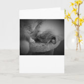 低速日、カード カード (黄色い花)