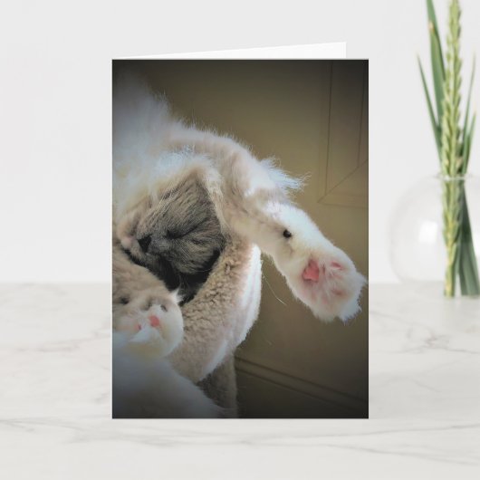 低速日、カード カード (正面)