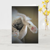 低速日、カード カード (黄色い花)