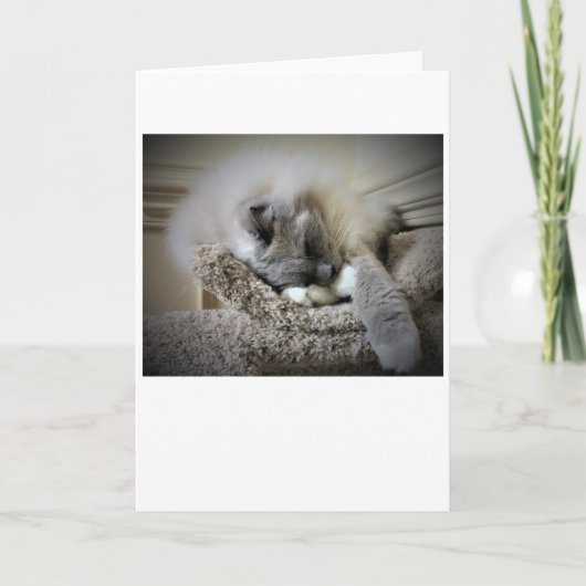 低速日、カード カード (正面)