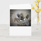 低速日、カード カード (黄色い花)