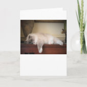 低速日、カード カード (正面)