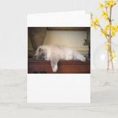 低速日、カード カード (黄色い花)