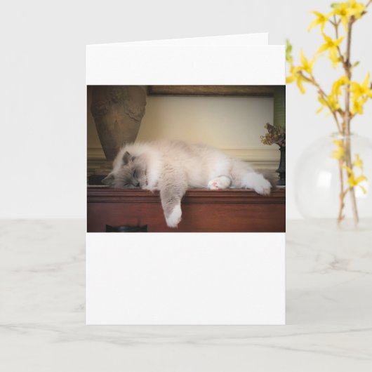 低速日、カード カード (黄色い花)