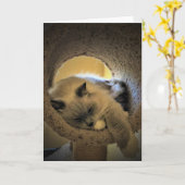 低速日、カード カード (黄色い花)