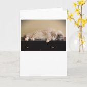 低速日、カード カード (黄色い花)