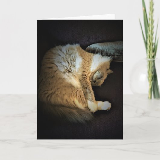 低速日、カード カード (正面)