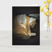 低速日、カード カード (黄色い花)