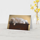 低速日、カード カード (黄色い花)