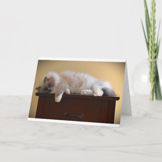 低速日、カード カード (正面)