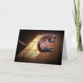 低速日、カード カード