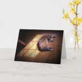 低速日、カード カード (黄色い花)