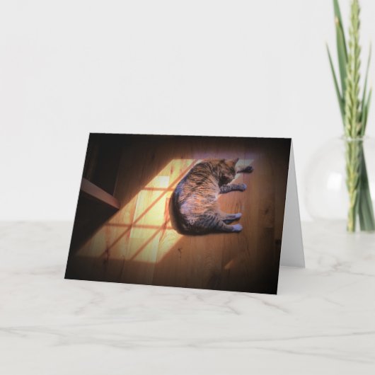 低速日、カード カード (正面)