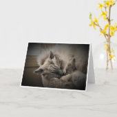 低速日、カード カード (黄色い花)