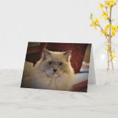 低速日、カード カード (黄色い花)