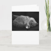 低速日、カード カード (正面)