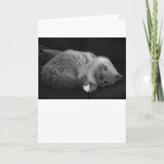 低速日、カード カード (正面)